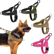 Harnais Anti-Traction Pawzee